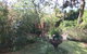 Rose Parterre B & B - thumb 7