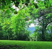Misty Mountain Retreat - Accommodation Mooloolaba