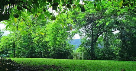 Misty Mountain Retreat - Accommodation Mooloolaba 0