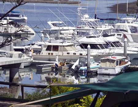 Soldiers Point Holiday Park - Accommodation Mooloolaba 3