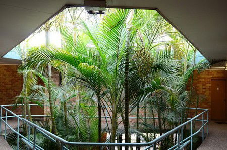 Bankstown Motel 10 - Accommodation Mooloolaba 5