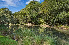 Peppers Casuarina Lodge - Accommodation Mooloolaba 4