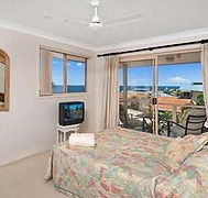 Allez Pacific Rose - Accommodation Mooloolaba