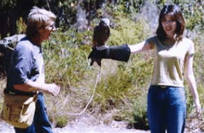 Eagles Heritage Raptor Wildlife Centre - Accommodation Mooloolaba 2