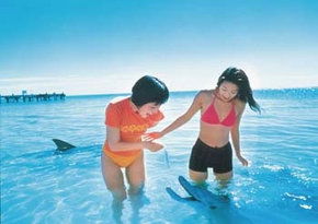  Accommodation Mooloolaba
