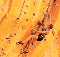 Rocksports Indoor Climbing - Accommodation Mooloolaba