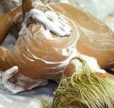Exotique Massage - Accommodation Mooloolaba