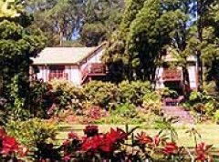 Delvin Health Retreat - Accommodation Mooloolaba 0