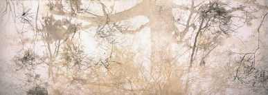 Dianne Tanzer Gallery & Projects - Accommodation Mooloolaba 3