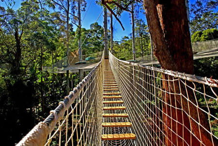 Mount Tamborine QLD Accommodation Mooloolaba