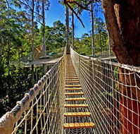 Thunderbird Park - Accommodation Mooloolaba
