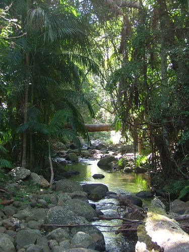 Thunderbird Park - Accommodation Mooloolaba 2
