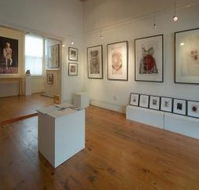 Bird's Gallery - Accommodation Mooloolaba