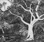 Tacit Contemporary Art - Accommodation Mooloolaba