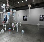 Nellie Castan Gallery - Accommodation Mooloolaba