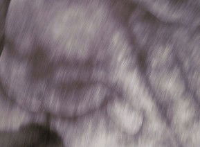 69 Smith Street - Accommodation Mooloolaba 1