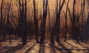 69 Smith Street - Accommodation Mooloolaba 2