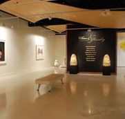 Counihan Gallery In Brunswick - Accommodation Mooloolaba