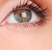 Cinnamon Stix Hair  Day Spa - Accommodation Mooloolaba