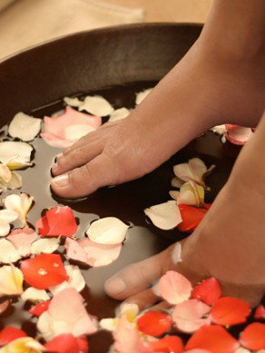 The Body Isle Day Spa - Accommodation Mooloolaba 1