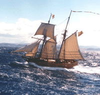 Enterprize - Melbourne's Tall Ship - Accommodation Mooloolaba