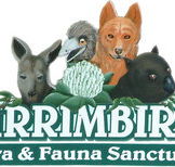 Wirrimbirra Sanctuary - Accommodation Mooloolaba