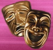 Nu Show - Accommodation Mooloolaba