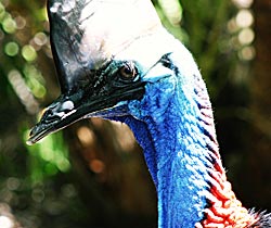 Taigum QLD Accommodation Mooloolaba