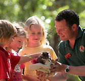 Cleland Wildlife Park - Accommodation Mooloolaba