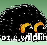 OZe Wildlife - Accommodation Mooloolaba