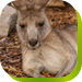  Accommodation Mooloolaba