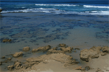 Canberra Contemporary Art Space - Accommodation Mooloolaba