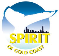 Spirit of Gold Coast Whale Watching - Accommodation Mooloolaba