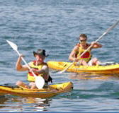 Manly Kayaks - Accommodation Mooloolaba