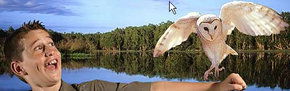 Territory Wildlife Park - Accommodation Mooloolaba 2