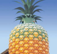 The Big Pineapple - Accommodation Mooloolaba
