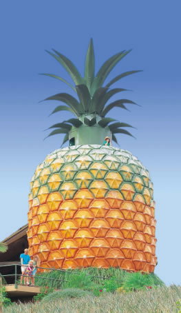 The Big Pineapple - Accommodation Mooloolaba 0