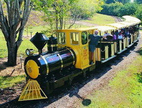 The Big Pineapple - Accommodation Mooloolaba 1