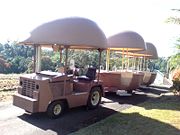 The Big Pineapple - Accommodation Mooloolaba 2