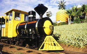 The Big Pineapple - Accommodation Mooloolaba 3