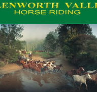 Glenworth Valley Horseriding - Accommodation Mooloolaba