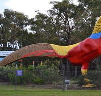 Gumbuya Park - Accommodation Mooloolaba