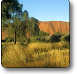 Uluru - Kata Tjuta National Park - Accommodation Mooloolaba