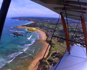 Tiger Moth World Adventure Park - Accommodation Mooloolaba 1