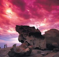 Kangaroo Island Adventure Tour 2 day/1 night - Accommodation Mooloolaba