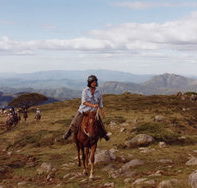 High Country Horses - Accommodation Mooloolaba