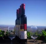 Mount Tamborine Winery  Homestead - Accommodation Mooloolaba
