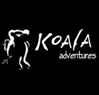 Koala Adventures - Accommodation Mooloolaba