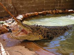 Book Berkeley River WA Attractions Accommodation Mooloolaba Accommodation Mooloolaba