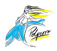 Polperro Dolphin Swims - Accommodation Mooloolaba 0